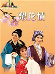 梨花情