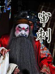 审刺