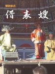 借表嫂