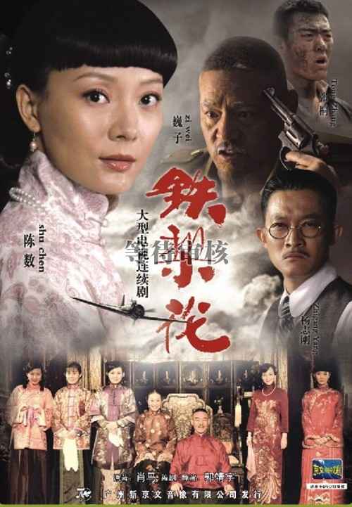 铁梨花-全28集
