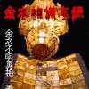 《金衣的备忘录》