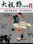大视野