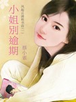 风起云涌租书店（一）：小姐别逾期